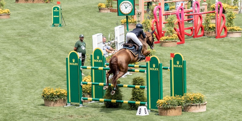 https://www.pacashop.it/ - Rientro in gara: come proteggere tendini e articolazioni del tuo cavallo