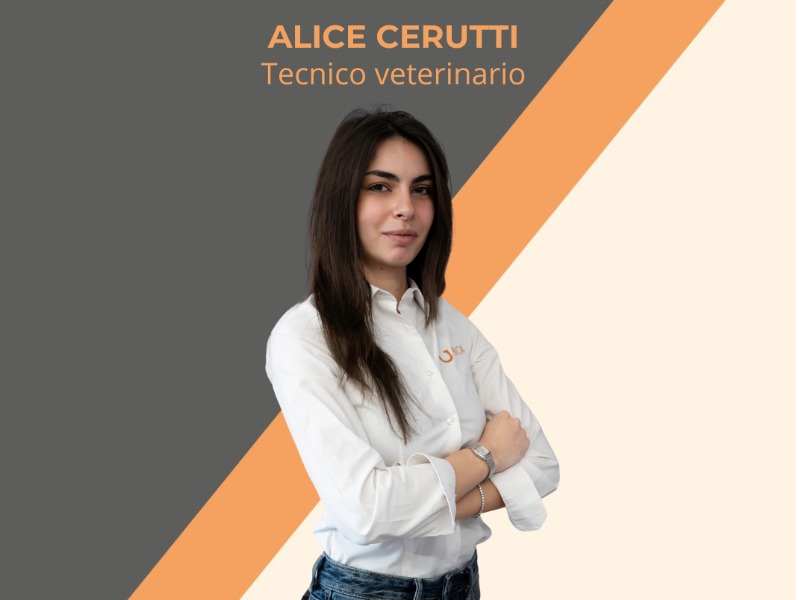 PACA Shop - Ushuaia Vet di Andrea Ancillotti