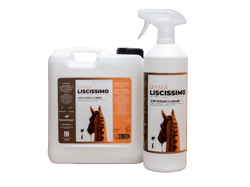 Liscissimo Districante Coda e Criniera Cavallo