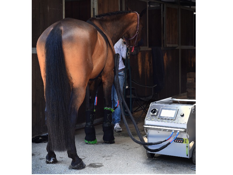 Impacco Ghiaccio Per Cavalli - Stivale Gel Per Gambe E Articolazioni - Foto 3