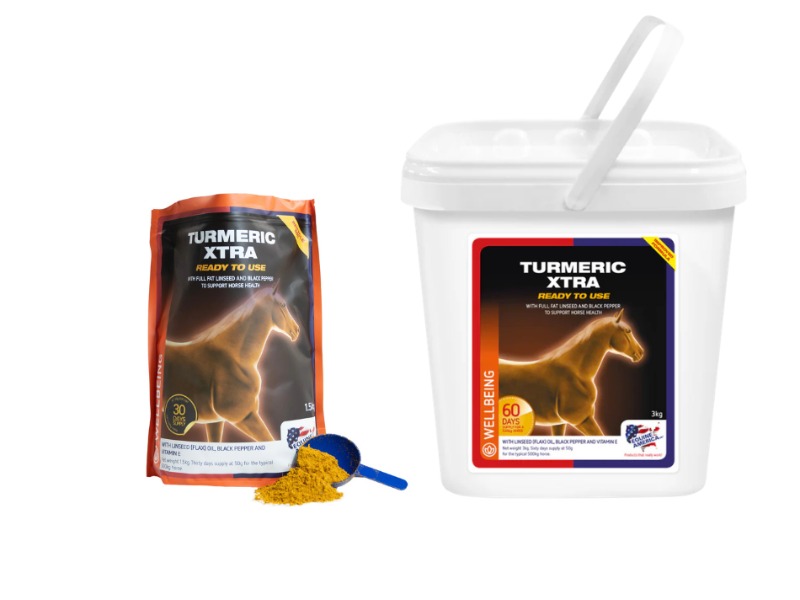 Equine America Turmeric