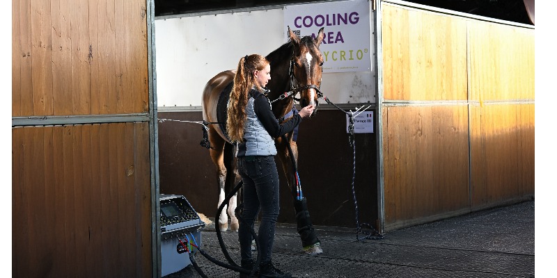 https://www.pacashop.it/ - PACA a Fieracavalli 2026: la Cooling Area dedicata al benessere del cavallo